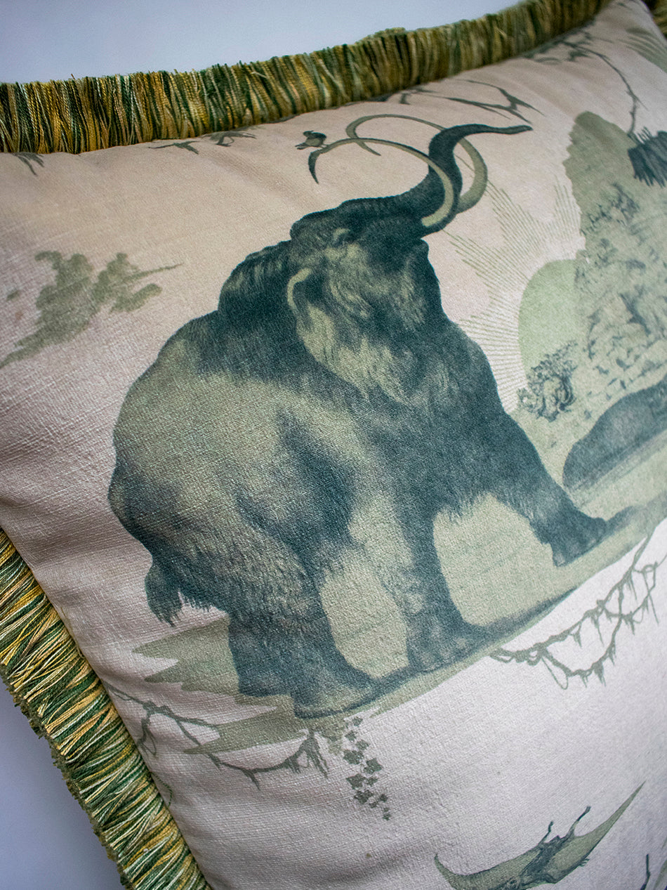 Extinctopia 'Galapagos Green' Fringed Velvet Cushion