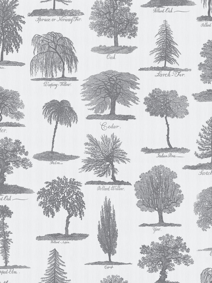 Arboreta Wallpaper Sample