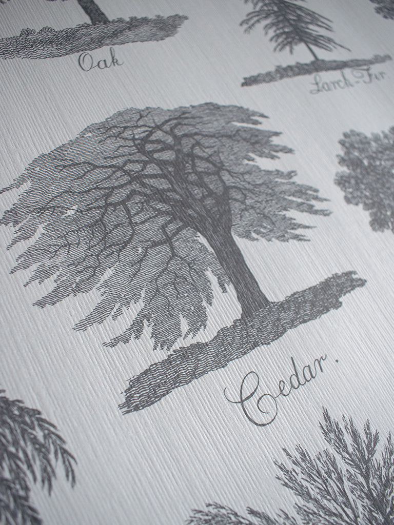 Arboreta Wallpaper Sample