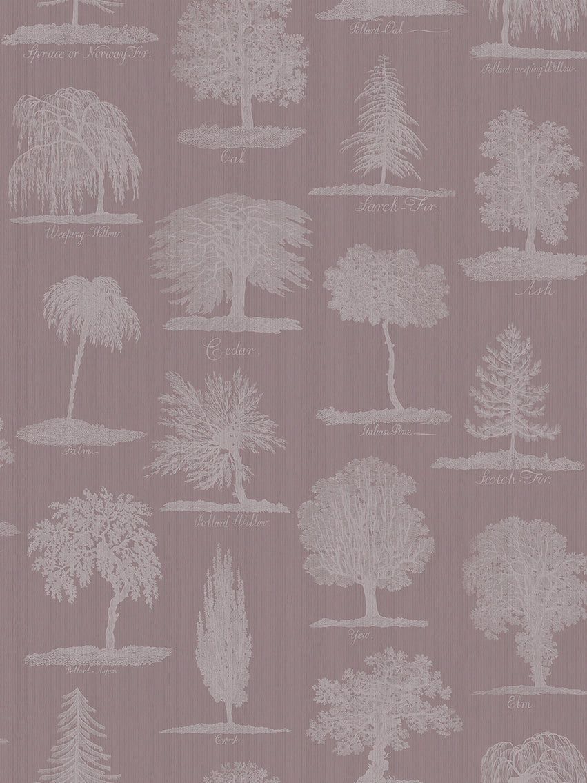 Arboreta Wallpaper Sample