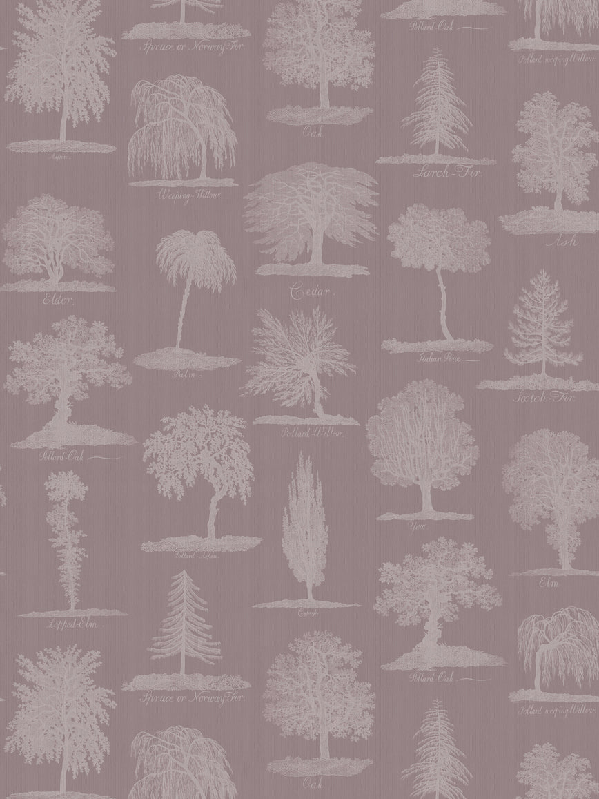 Arboreta Wallpaper Sample