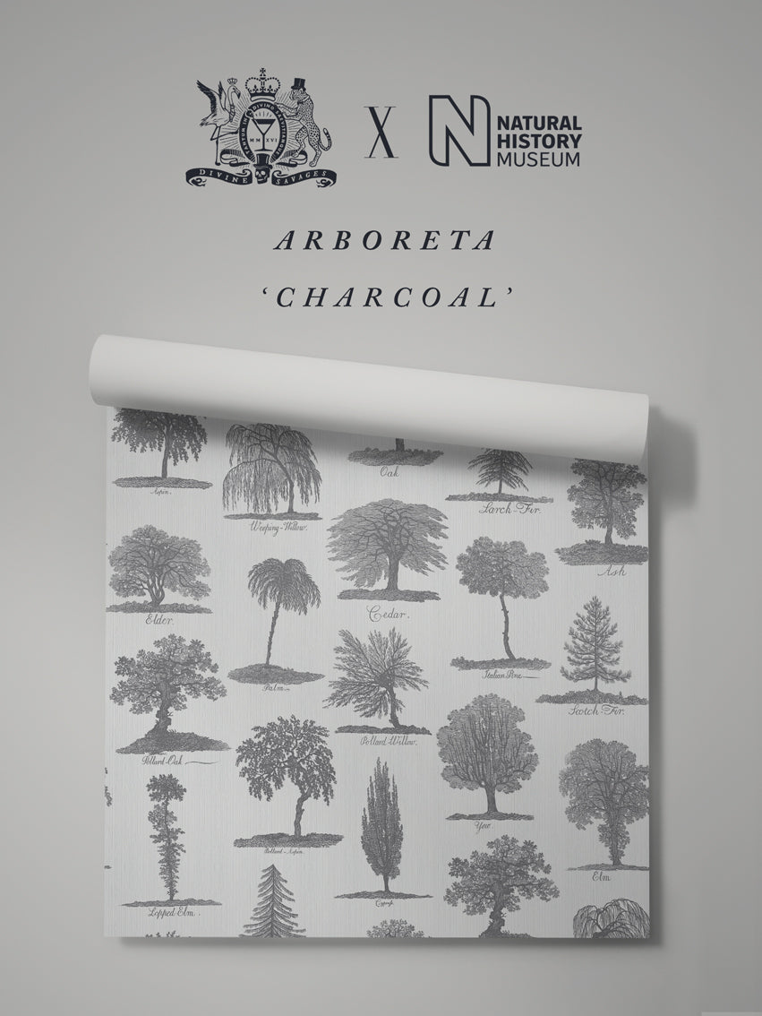 Arboreta Wallpaper Sample