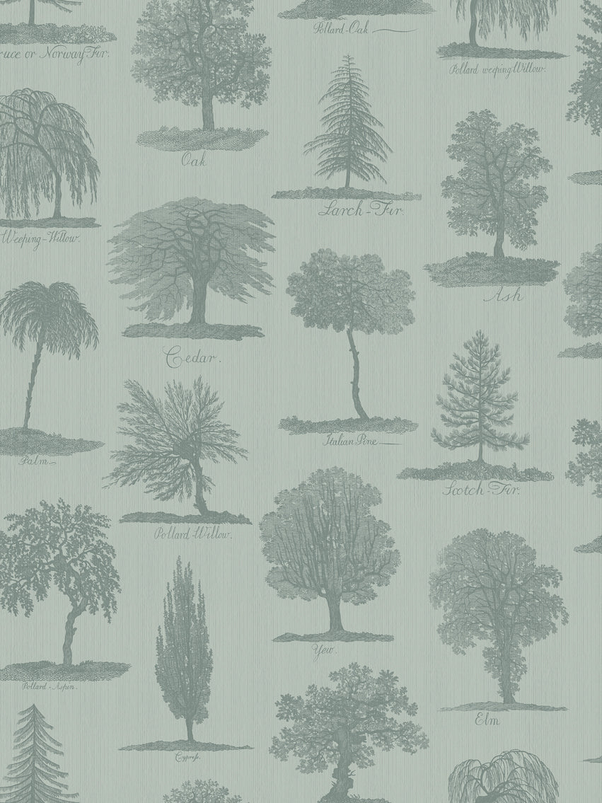 Arboreta Wallpaper