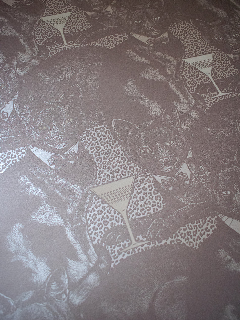 Cat-titude Wallpaper Sample