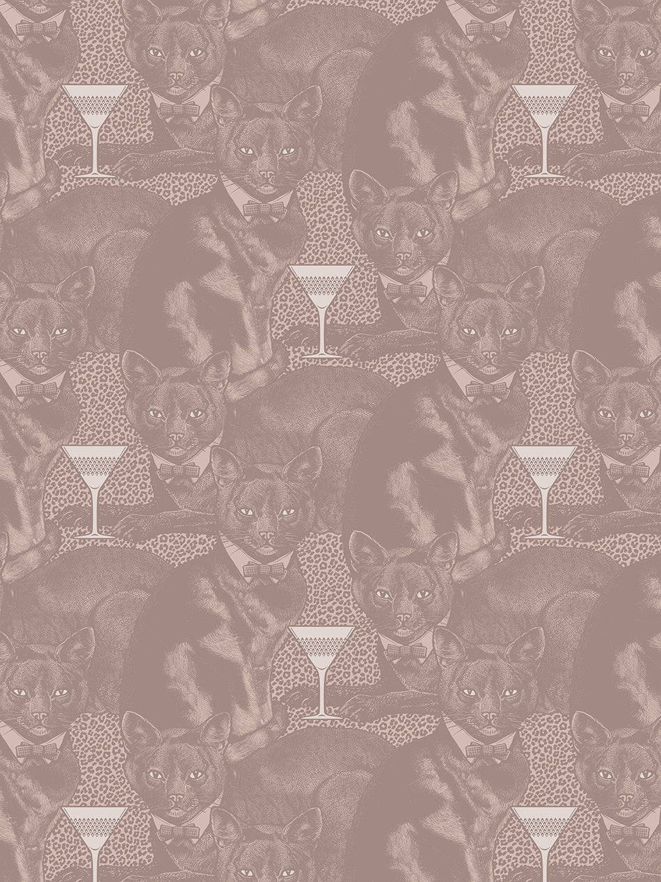 Cat-titude Wallpaper Sample