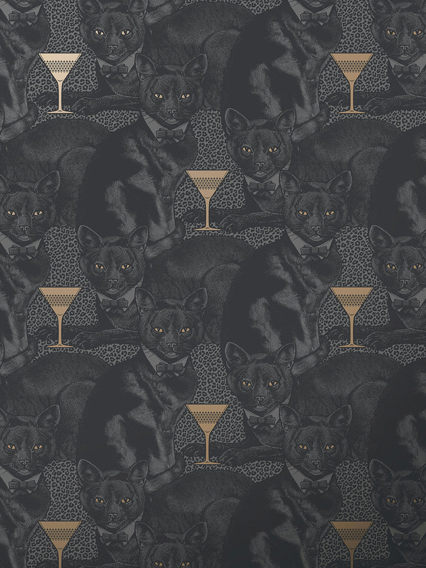 Cat-titude Wallpaper Sample