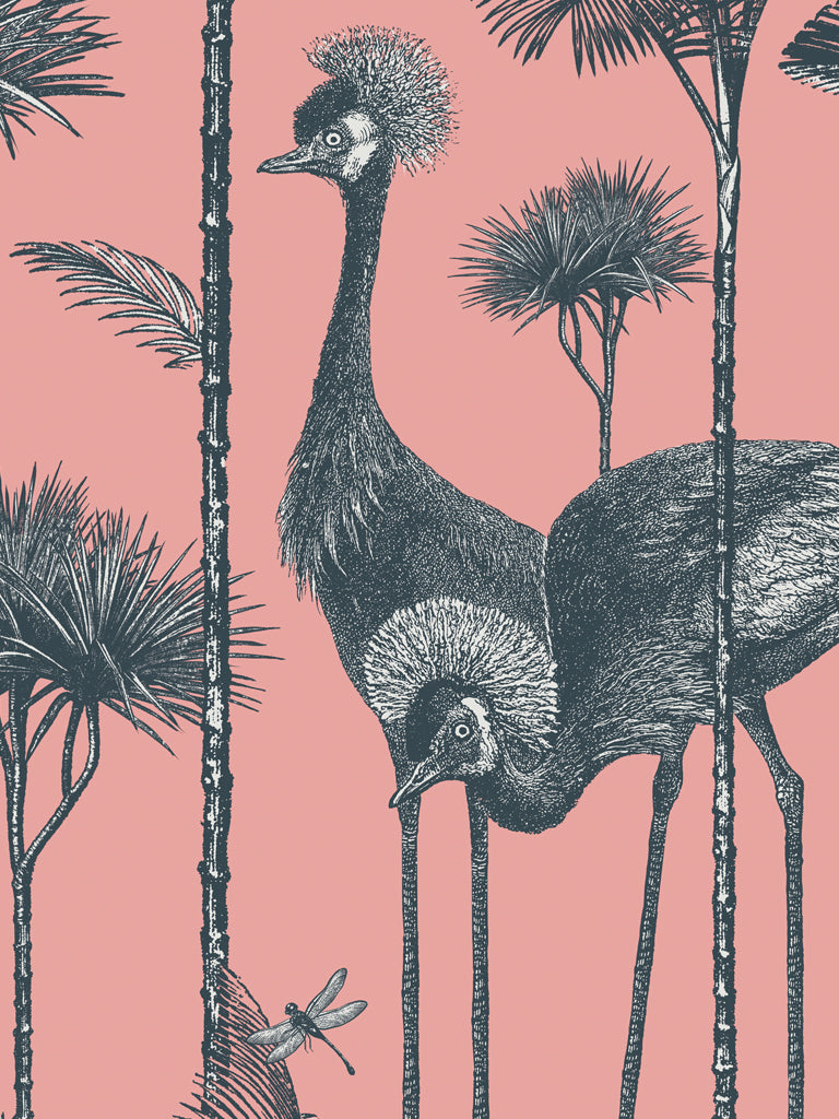 Crane Fonda Limited Edition Print