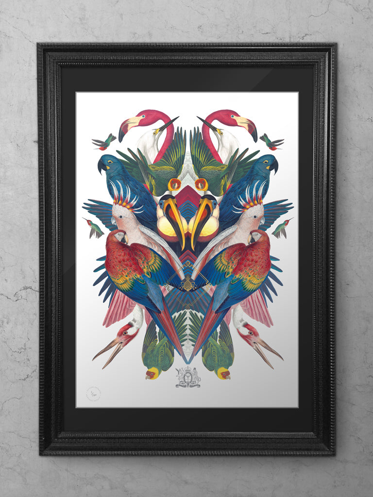 Divine Birds Limited Edition Print