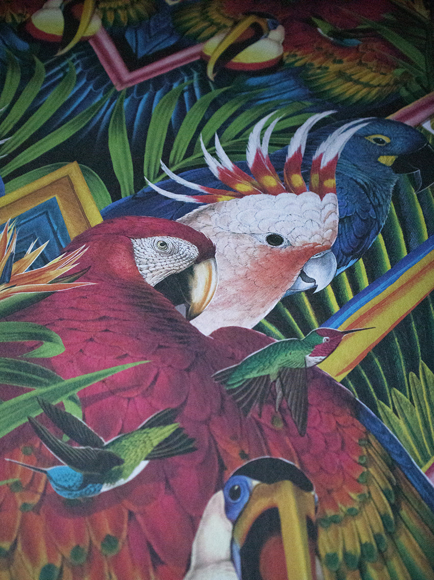 Divine Plumage Wallpaper