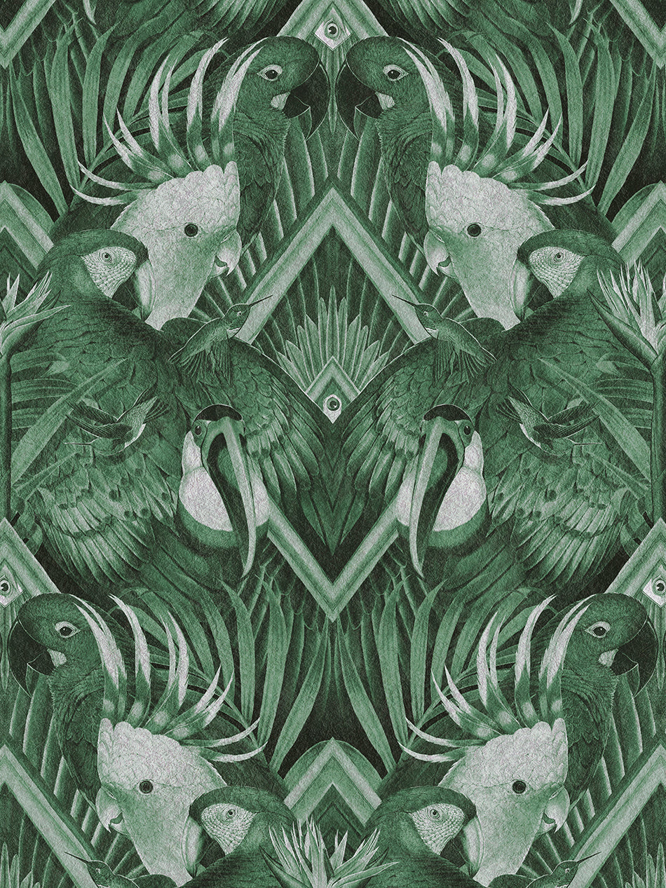 Divine Plumage Wallpaper