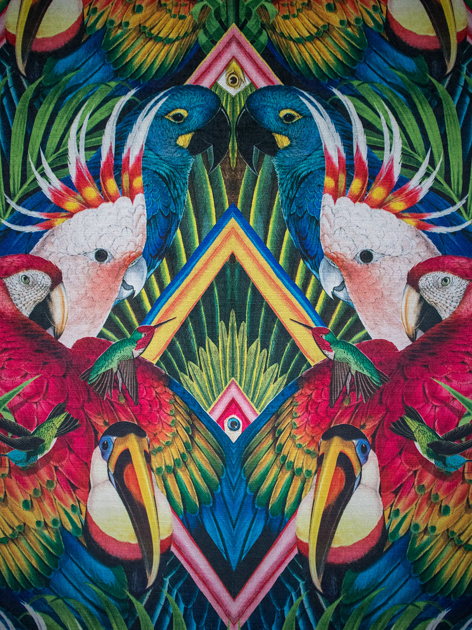 Divine Plumage 'Fiesta' Recycled Velvet Sample