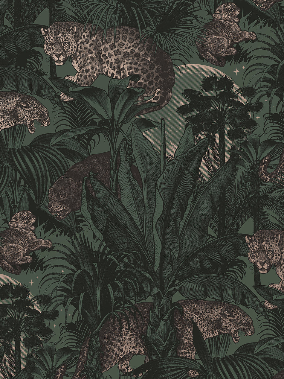 Faunacation Wallpaper