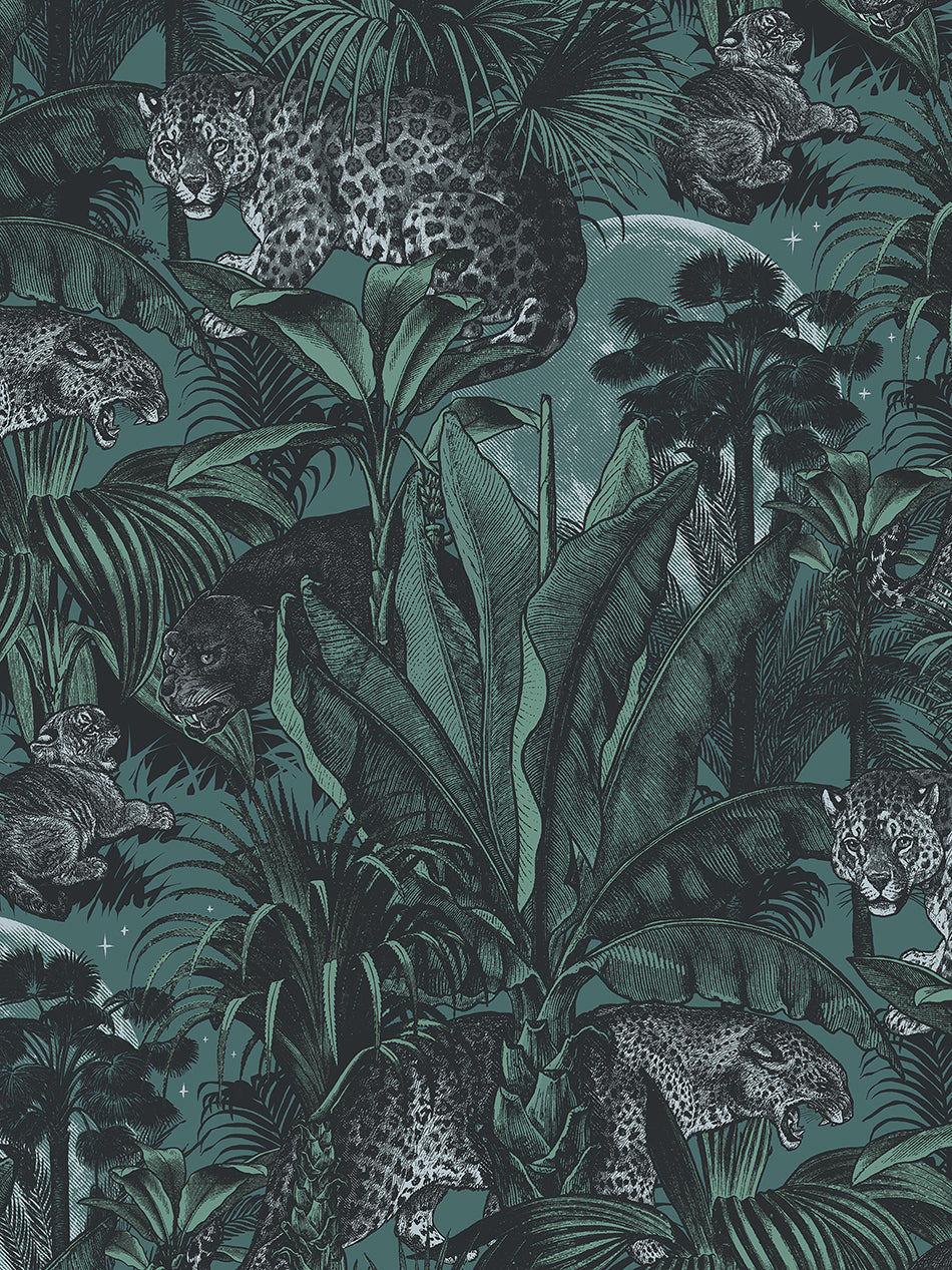 Faunacation Wallpaper