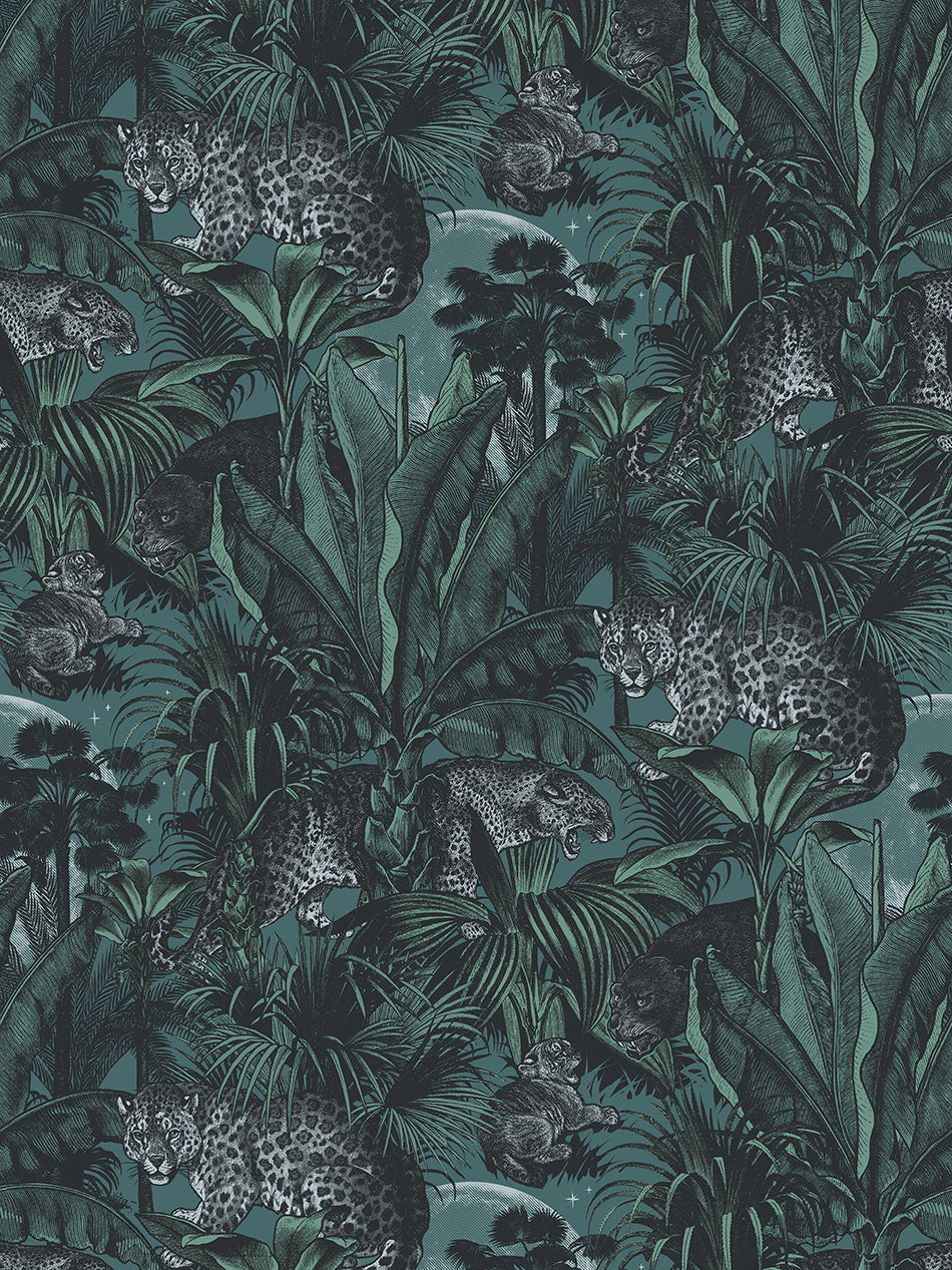Faunacation Wallpaper