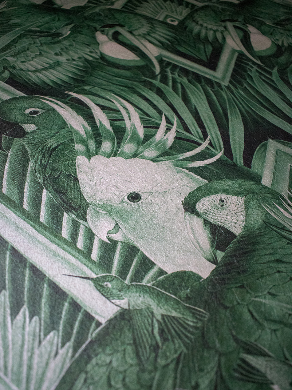 Divine Plumage Wallpaper