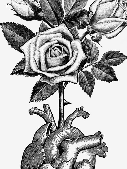 Heart Bloom Limited Edition Print