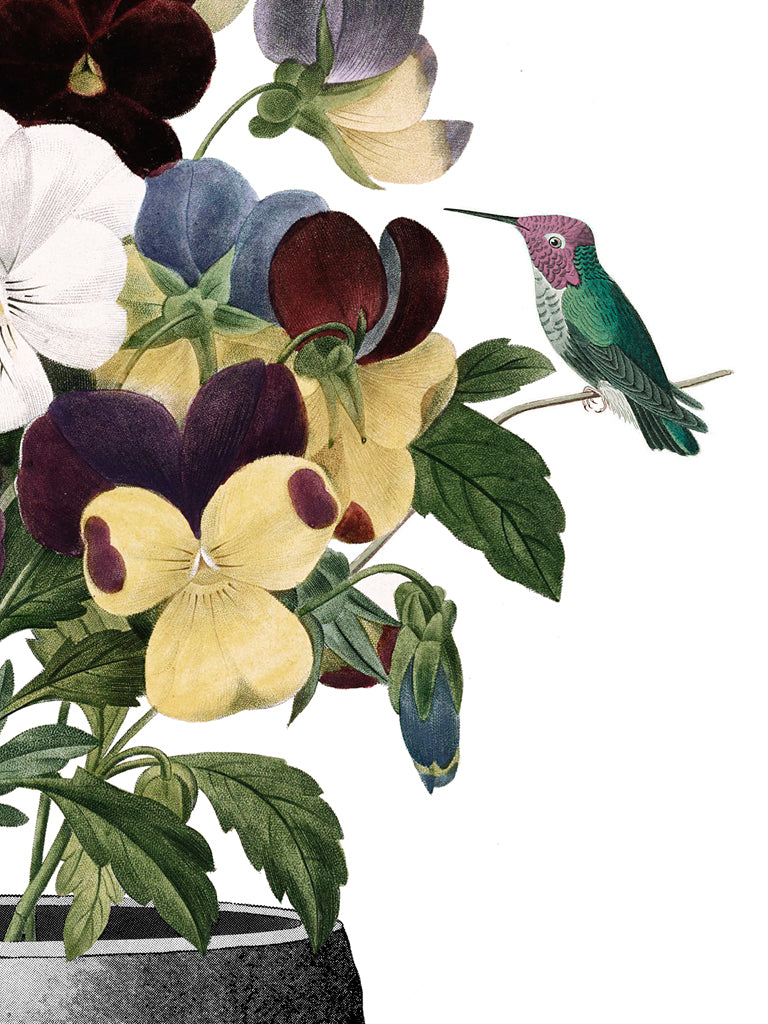 LoBotanist Limited Edition Print