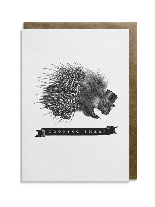 Looking Sharp Greeting Card