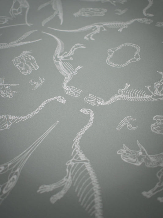 Prehistoria Wallpaper