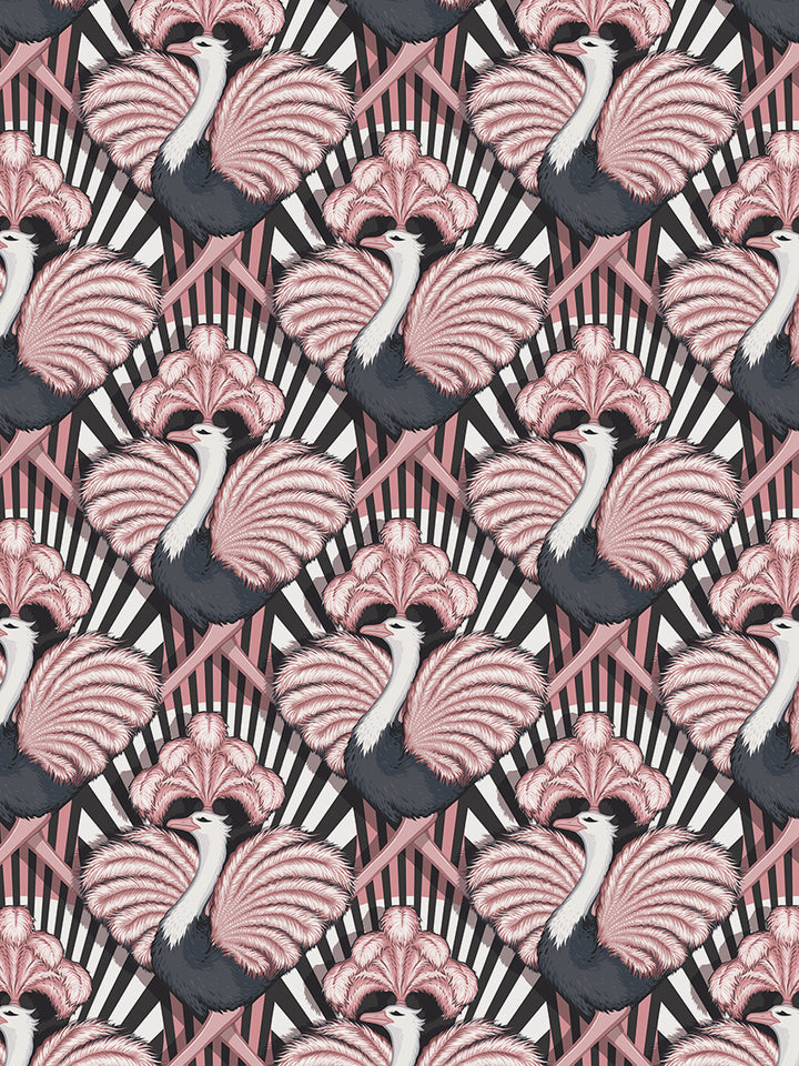 Zsa Zsa Wallpaper