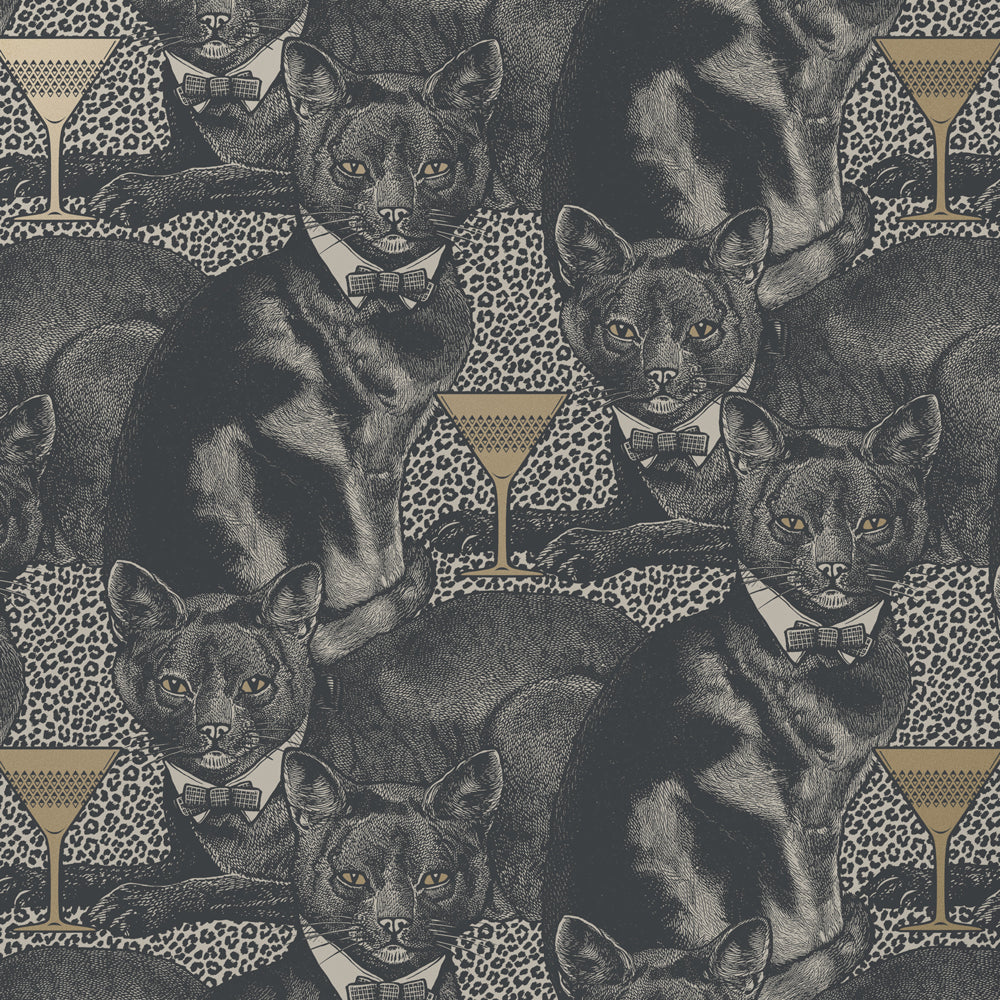 Cat-titude