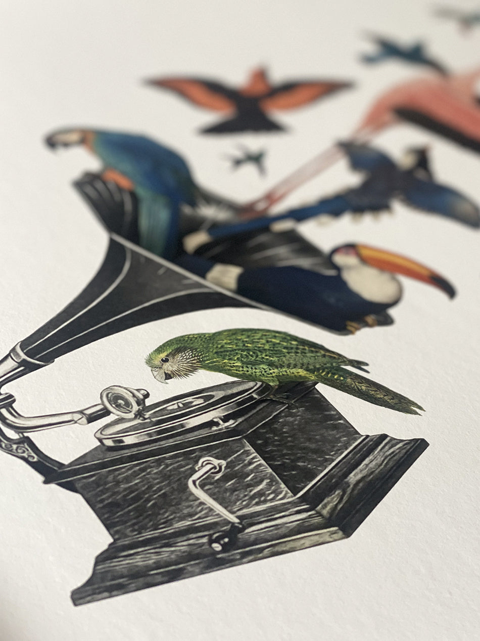 Bird Song II Limited Edition Print