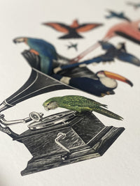 Bird Song II Limited Edition Print