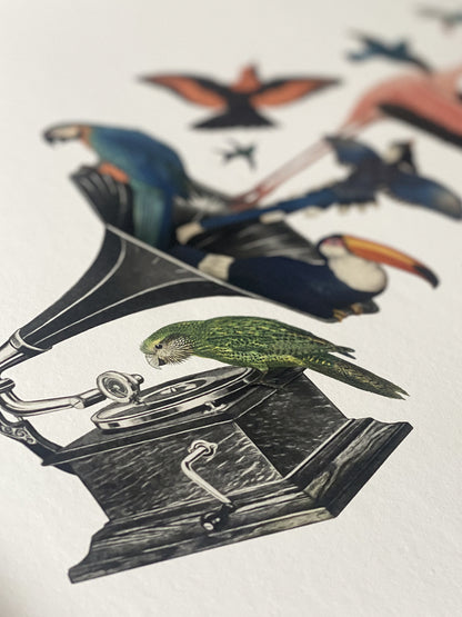 Bird Song II Limited Edition Print