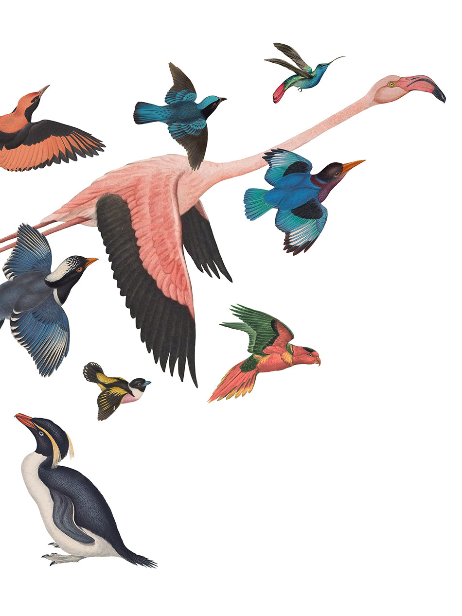 Bird Song II Limited Edition Print