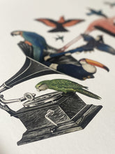 Load image into Gallery viewer, Bird Song II Limited Edition Print