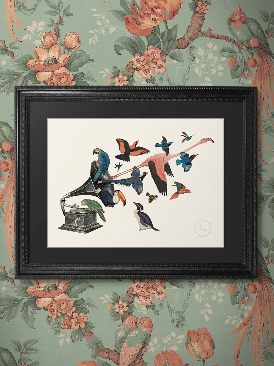 Bird Song II Limited Edition Print