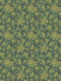 Drunken Monkey Wallpaper