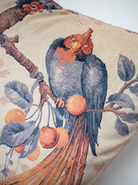 Lovebirds 'Papaya' Velvet Cushion