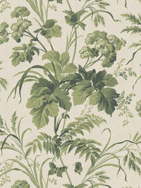 Where The Wildflowers Grow Wallpaper Sample