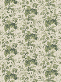 Where The Wildflowers Grow Wallpaper
