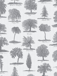 Arboreta Wallpaper Sample