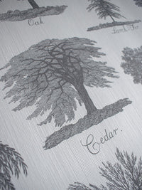 Arboreta Wallpaper