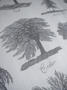 Arboreta Wallpaper