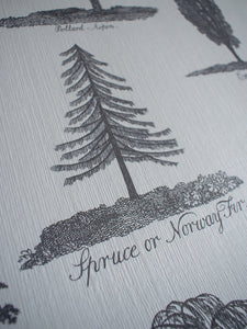 Arboreta Wallpaper