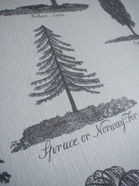 Arboreta Wallpaper Sample