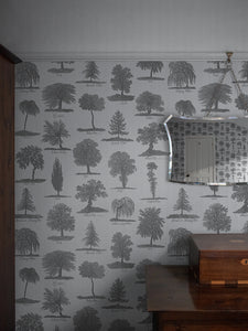 Arboreta 'Charcoal' Wallpaper Sample