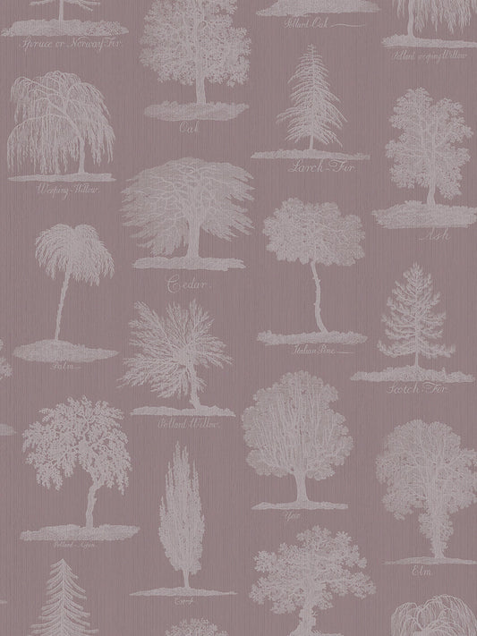 Arboreta Wallpaper