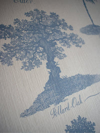 Arboreta Wallpaper Sample