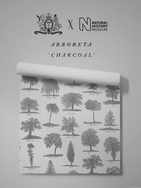 Arboreta Wallpaper Sample