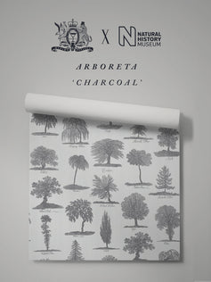Arboreta Wallpaper Sample
