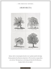 Load image into Gallery viewer, Arboreta &#39;Charcoal&#39; Wallpaper Sample