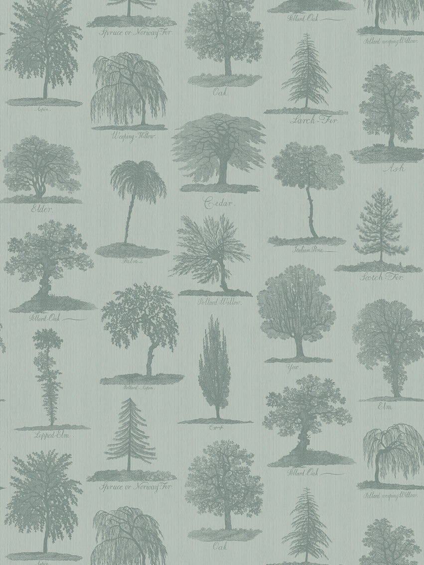 Arboreta Wallpaper Sample