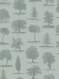 Arboreta Wallpaper