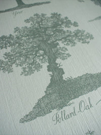 Arboreta Wallpaper