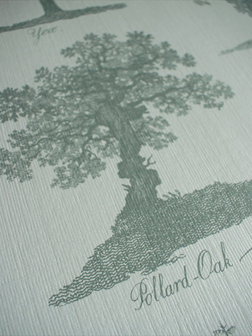 Arboreta Wallpaper Sample